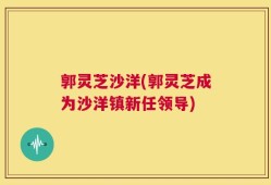 郭灵芝沙洋(郭灵芝成为沙洋镇新任领导)