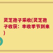 灵芝孢子采收(灵芝孢子收获：丰收季节到来)
