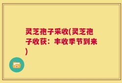 灵芝孢子采收(灵芝孢子收获：丰收季节到来)