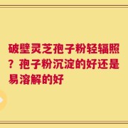 破壁灵芝孢子粉轻辐照？孢子粉沉淀的好还是易溶解的好