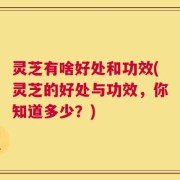 灵芝有啥好处和功效(灵芝的好处与功效，你知道多少？)