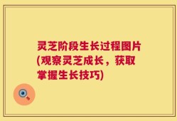 灵芝阶段生长过程图片(观察灵芝成长，获取掌握生长技巧)