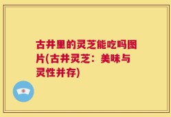古井里的灵芝能吃吗图片(古井灵芝：美味与灵性并存)