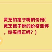 灵芝的孢子粉的价格(灵芝孢子粉的价格测评，你买得正吗？)