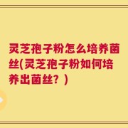 灵芝孢子粉怎么培养菌丝(灵芝孢子粉如何培养出菌丝？)