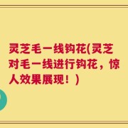 灵芝毛一线钩花(灵芝对毛一线进行钩花，惊人效果展现！)