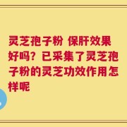 灵芝孢子粉 保肝效果好吗？已采集了灵芝孢子粉的灵芝功效作用怎样呢