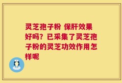 灵芝孢子粉 保肝效果好吗？已采集了灵芝孢子粉的灵芝功效作用怎样呢