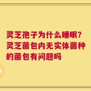 灵芝孢子为什么睡眠？灵芝菌包内无实体菌种的菌包有问题吗