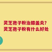 灵芝孢子粉治膝盖炎？灵芝孢子粉有什么好处