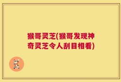 猴哥灵芝(猴哥发现神奇灵芝令人刮目相看)