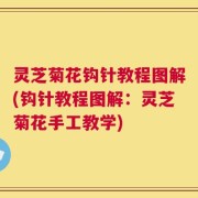 灵芝菊花钩针教程图解(钩针教程图解：灵芝菊花手工教学)