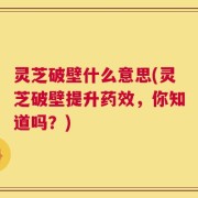 灵芝破壁什么意思(灵芝破壁提升药效，你知道吗？)