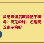 灵芝破壁后就是孢子粉吗？灵芝粉好，还是灵芝孢子粉好