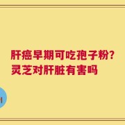 肝癌早期可吃孢子粉？灵芝对肝脏有害吗