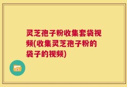 灵芝孢子粉收集套袋视频(收集灵芝孢子粉的袋子的视频)