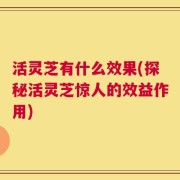 活灵芝有什么效果(探秘活灵芝惊人的效益作用)