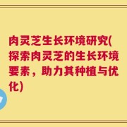 肉灵芝生长环境研究(探索肉灵芝的生长环境要素，助力其种植与优化)