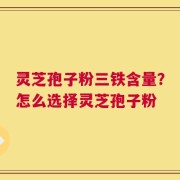 灵芝孢子粉三铁含量？怎么选择灵芝孢子粉