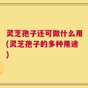 灵芝孢子还可做什么用(灵芝孢子的多种用途)