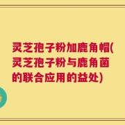 灵芝孢子粉加鹿角帽(灵芝孢子粉与鹿角菌 的联合应用的益处)