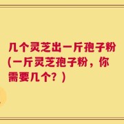 几个灵芝出一斤孢子粉(一斤灵芝孢子粉，你需要几个？)