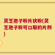 灵芝孢子粉片状粉(灵芝孢子粉可口服的片剂)