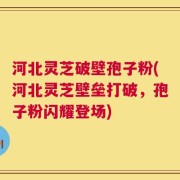 河北灵芝破壁孢子粉(河北灵芝壁垒打破，孢子粉闪耀登场)