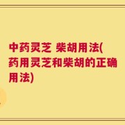 中药灵芝 柴胡用法(药用灵芝和柴胡的正确用法)