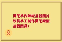 灵芝手作辣椒盆栽图片欣赏手工制作灵芝辣椒盆栽图赏)