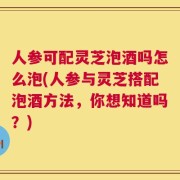 人参可配灵芝泡酒吗怎么泡(人参与灵芝搭配泡酒方法，你想知道吗？)