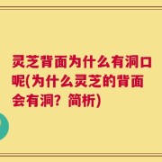 灵芝背面为什么有洞口呢(为什么灵芝的背面会有洞？简析)