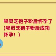 喝灵芝孢子粉后怀孕了(喝灵芝孢子粉后成功怀孕！)