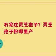 石家庄灵芝孢子？灵芝孢子粉哪里产