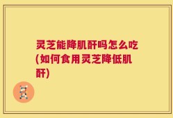 灵芝能降肌酐吗怎么吃(如何食用灵芝降低肌酐)