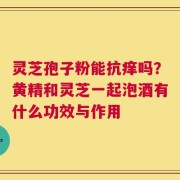 灵芝孢子粉能抗痒吗？黄精和灵芝一起泡酒有什么功效与作用