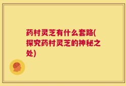 药村灵芝有什么套路(探究药村灵芝的神秘之处)