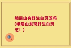 峨眉山有野生白灵芝吗(峨眉山发现野生白灵芝！)
