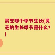 灵芝哪个季节生长(灵芝的生长季节是什么？)