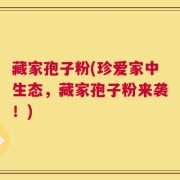 藏家孢子粉(珍爱家中生态，藏家孢子粉来袭！)