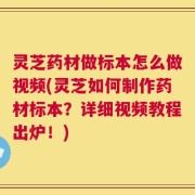 灵芝药材做标本怎么做视频(灵芝如何制作药材标本？详细视频教程出炉！)