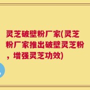 灵芝破壁粉厂家(灵芝粉厂家推出破壁灵芝粉，增强灵芝功效)