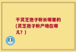 干灵芝孢子粉长哪里的(灵芝孢子粉产地在哪儿？)