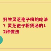 野生灵芝孢子粉的吃法？灵芝孢子粉煲汤的12种做法