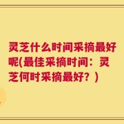 灵芝什么时间采摘最好呢(最佳采摘时间：灵芝何时采摘最好？)