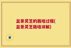 盆景灵芝的栽培过程(盆景灵芝栽培详解)