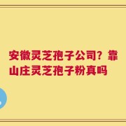 安徽灵芝孢子公司？靠山庄灵芝孢子粉真吗