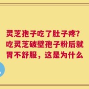 灵芝孢子吃了肚子疼？吃灵芝破壁孢子粉后就胃不舒服，这是为什么