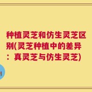 种植灵芝和仿生灵芝区别(灵芝种植中的差异：真灵芝与仿生灵芝)