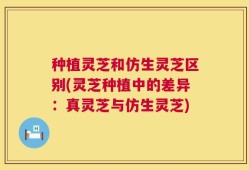 种植灵芝和仿生灵芝区别(灵芝种植中的差异：真灵芝与仿生灵芝)